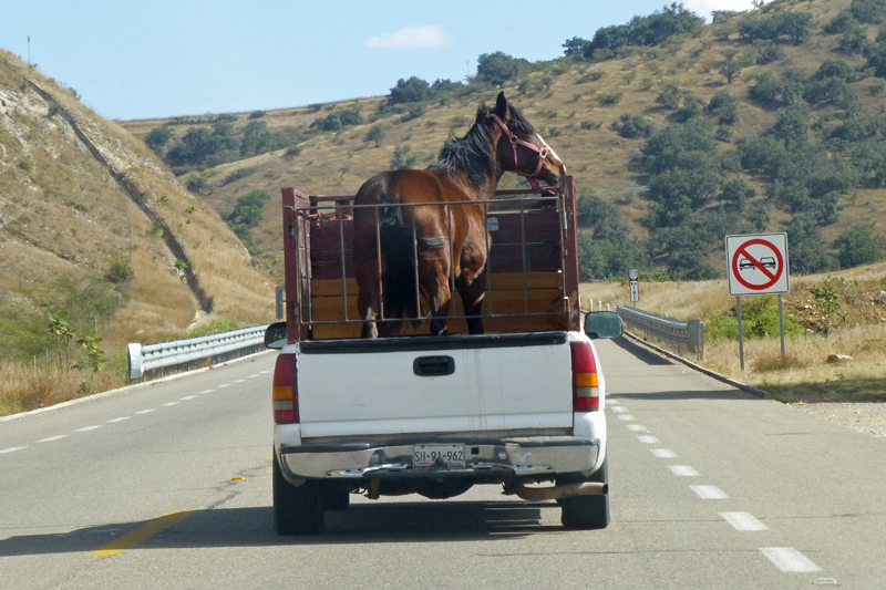 Oaxaca 2014