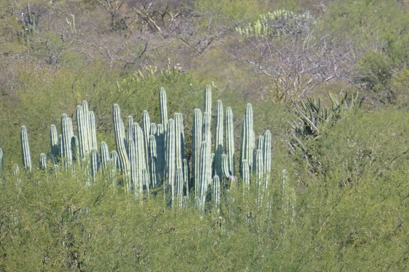 Oaxaca 2014