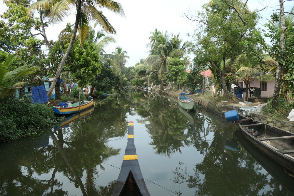 08 NBackwaters02