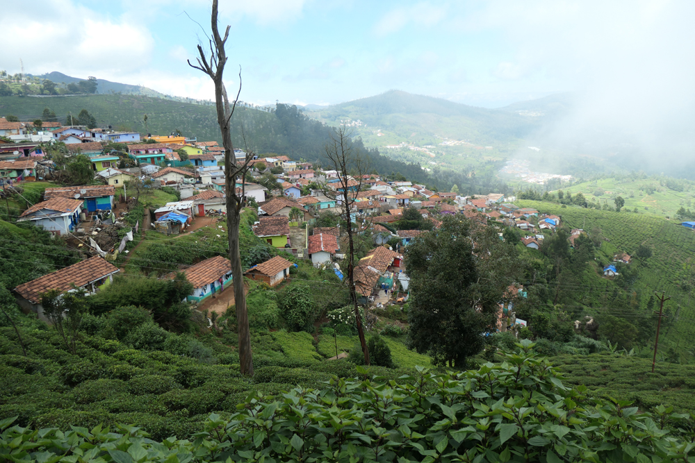 11 Ooty02